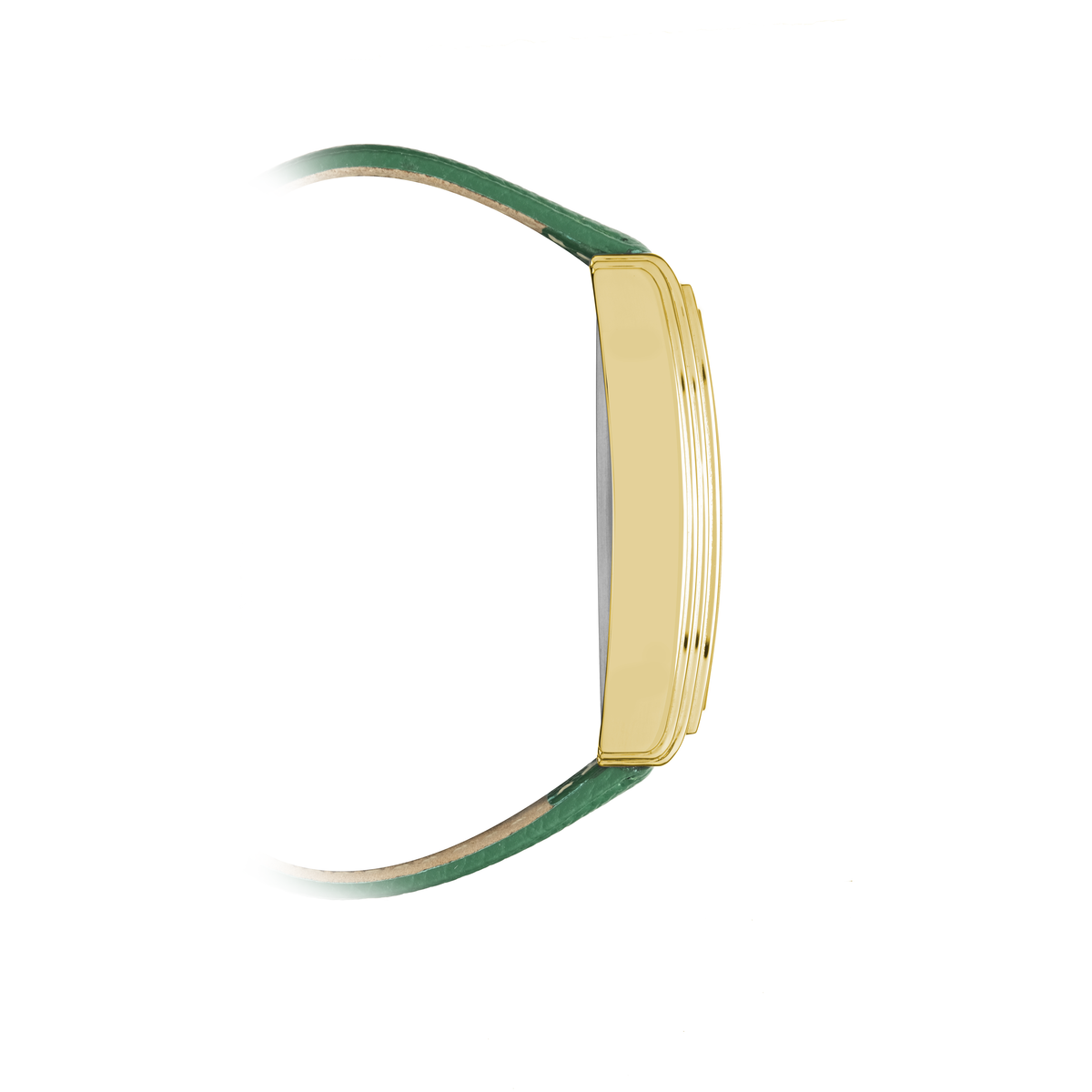 BAAGH II GOLD PLATED